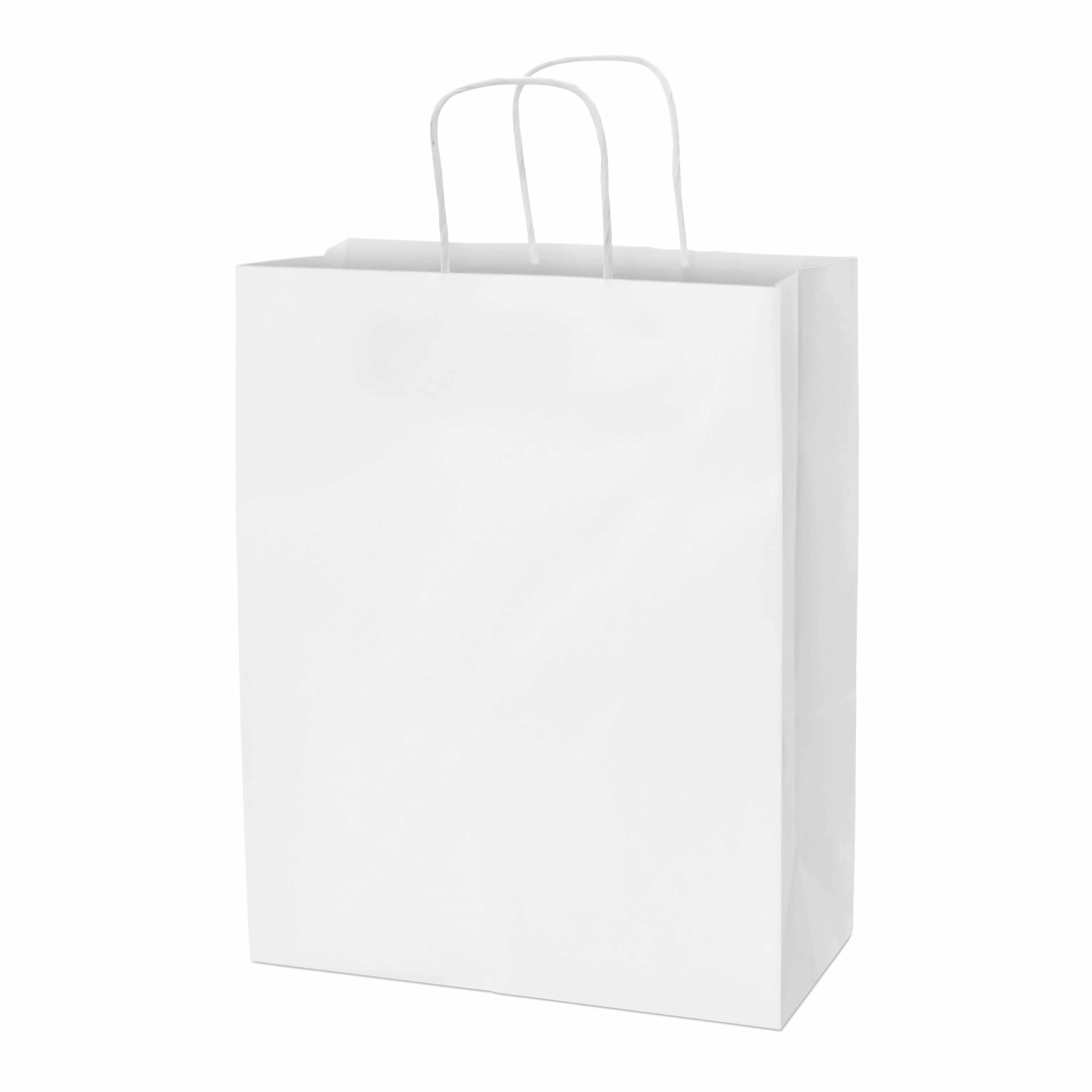 10x5x13 Medium White Paper Bags with Handles