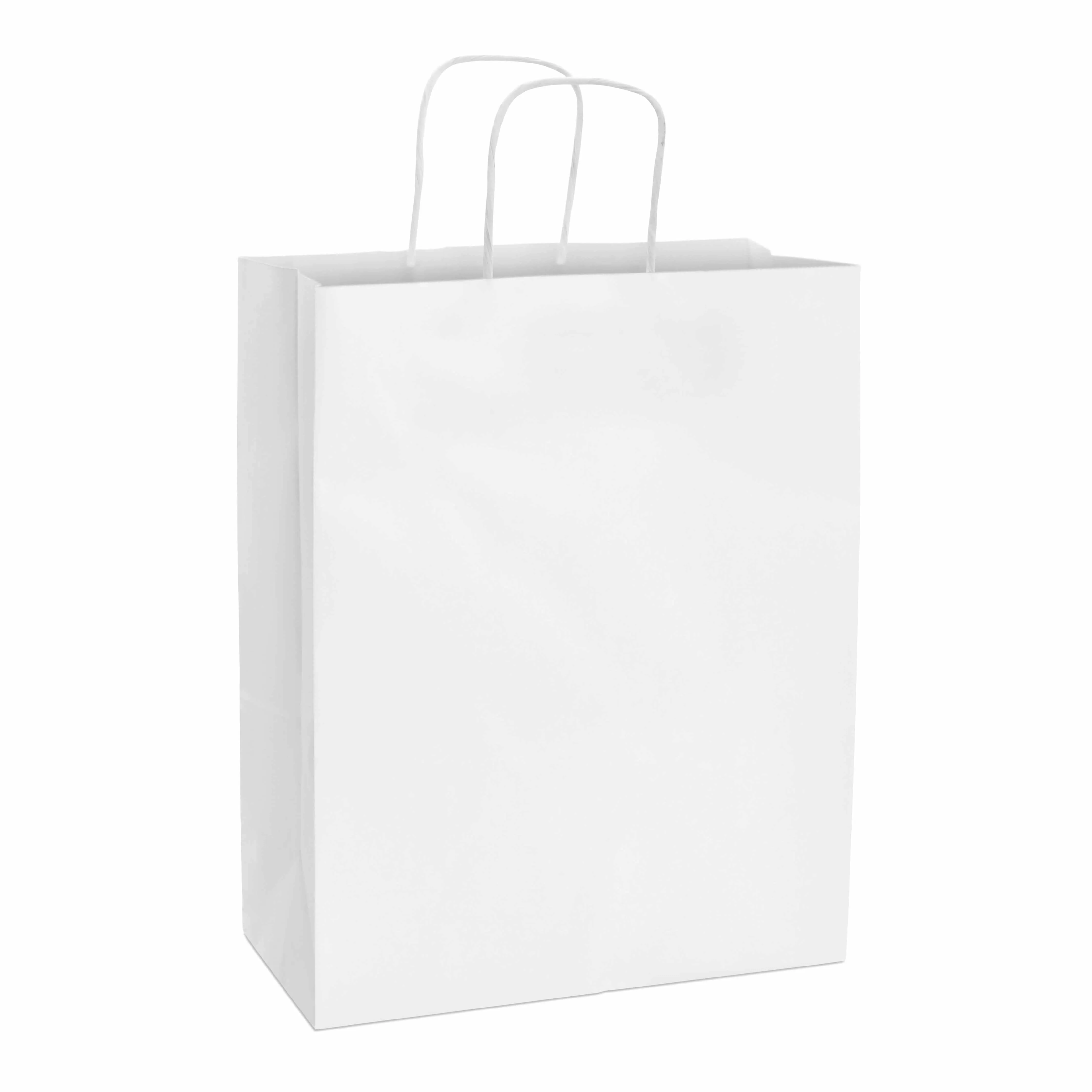 10x5x13 Medium White Paper Bags with Handles