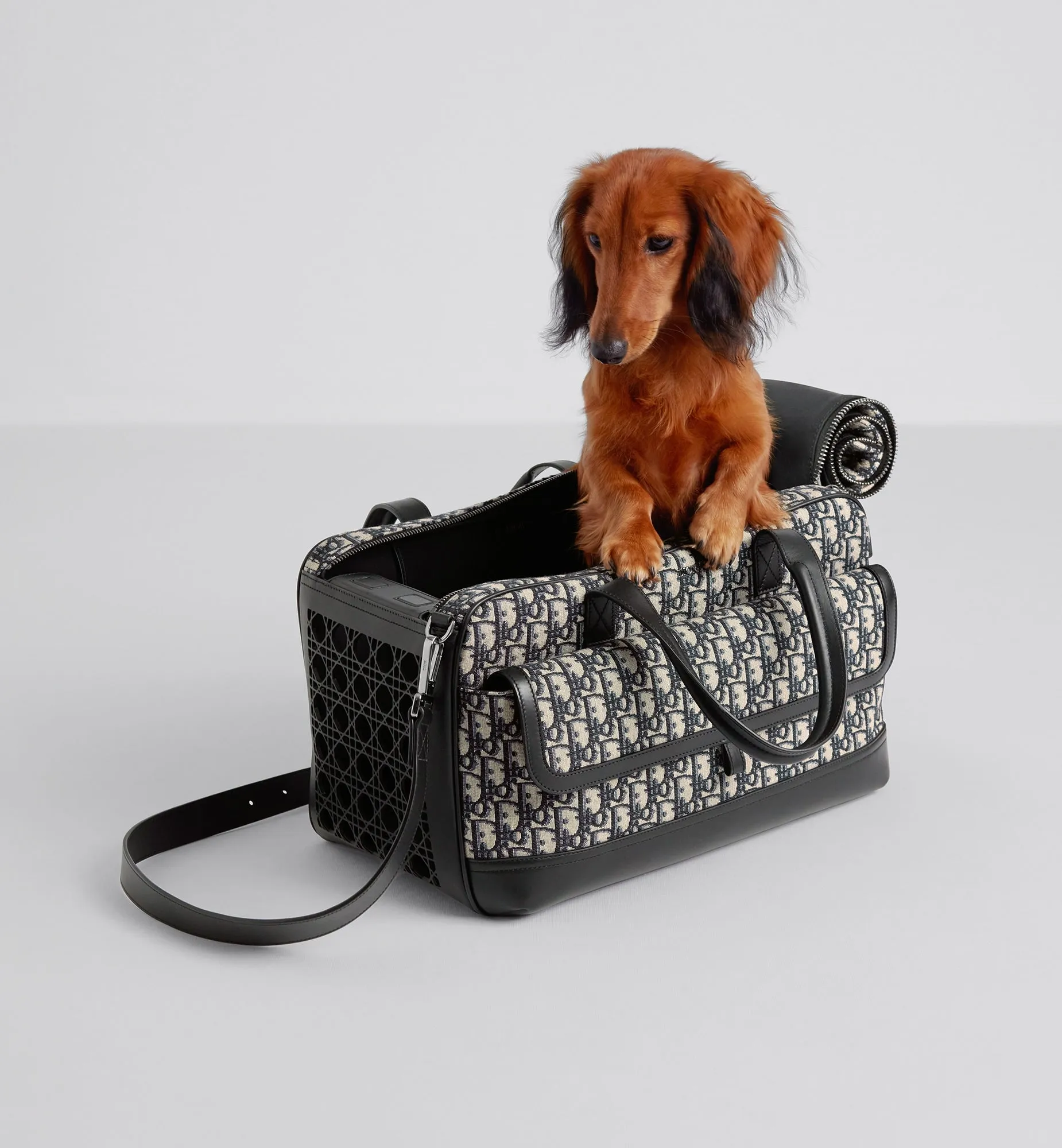 Dior Hit The Road Pet Carrier Bag