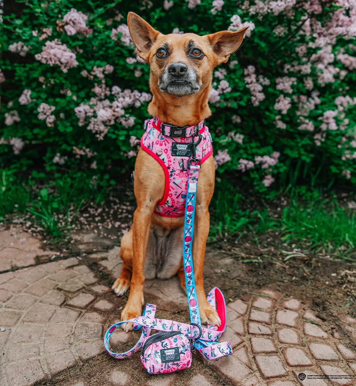 Dog Waste Bag Holder - Looney Tunes™ Pink