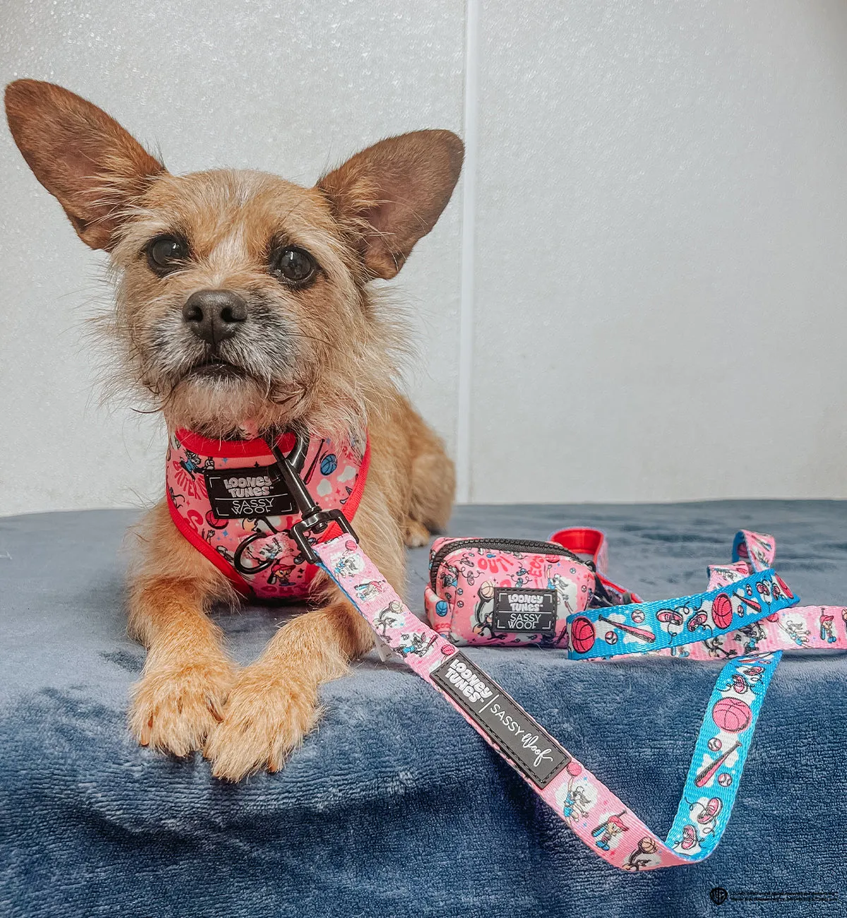 Dog Waste Bag Holder - Looney Tunes™ Pink