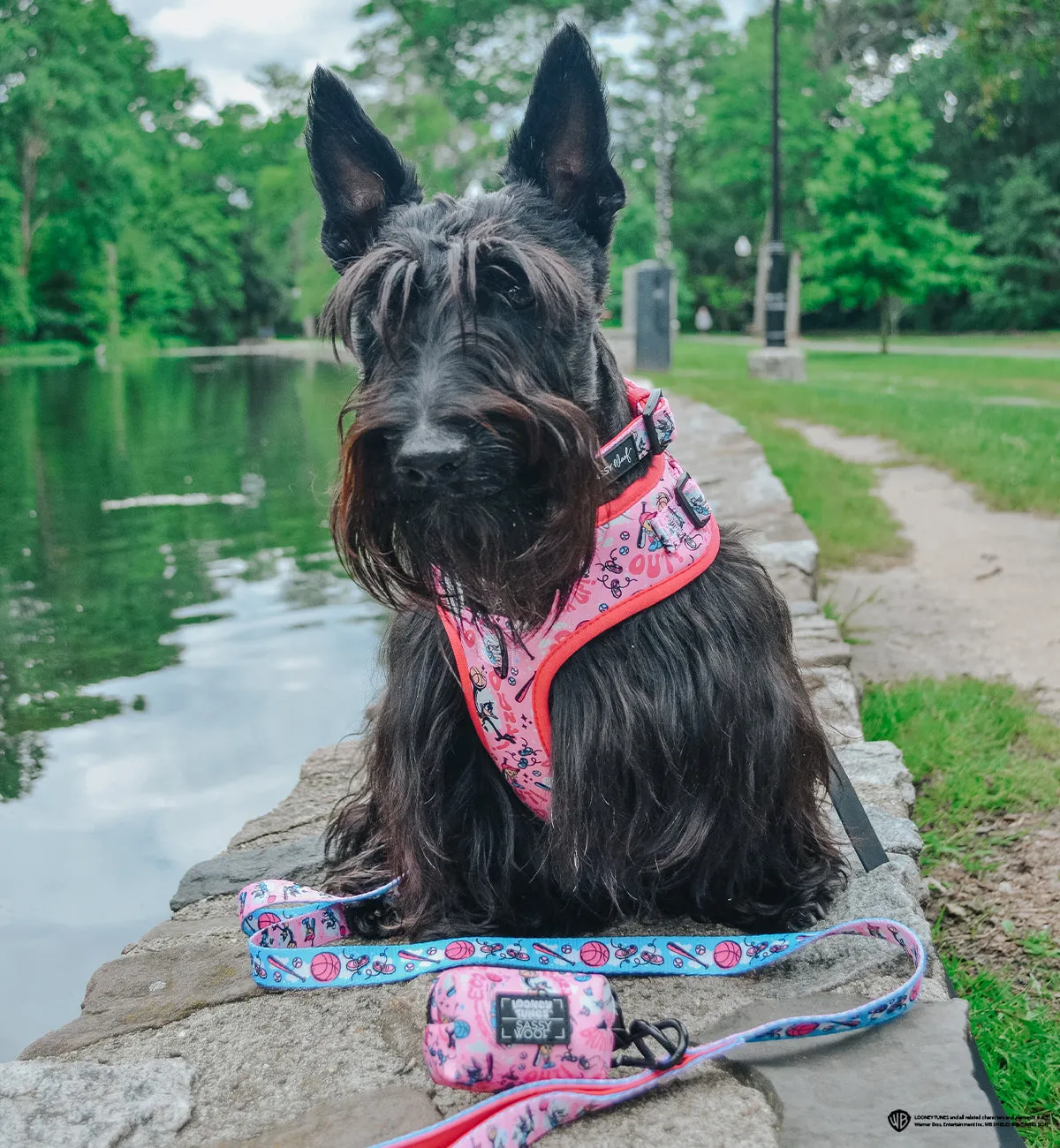 Dog Waste Bag Holder - Looney Tunes™ Pink