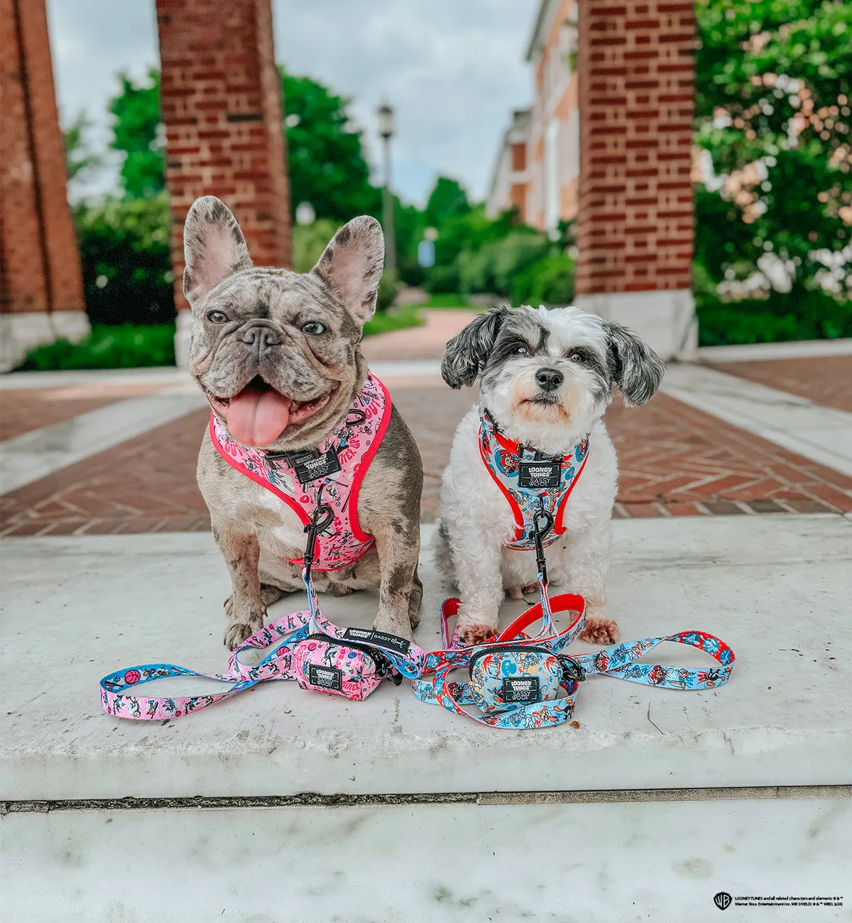 Dog Waste Bag Holder - Looney Tunes™ Pink