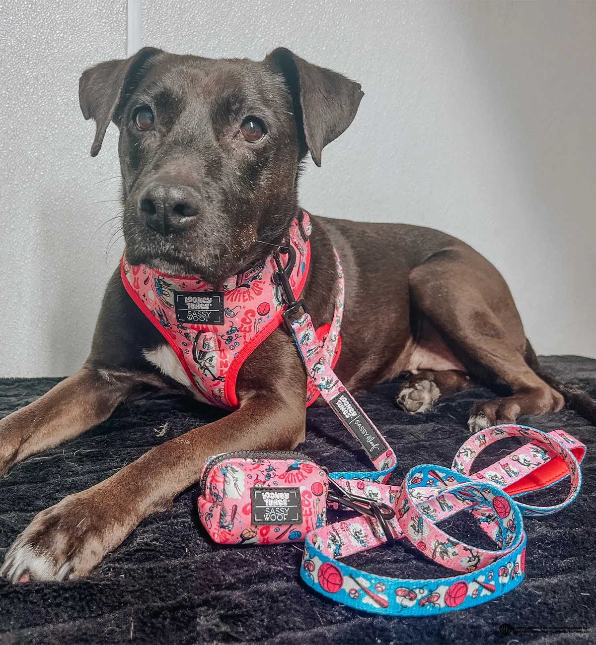 Dog Waste Bag Holder - Looney Tunes™ Pink